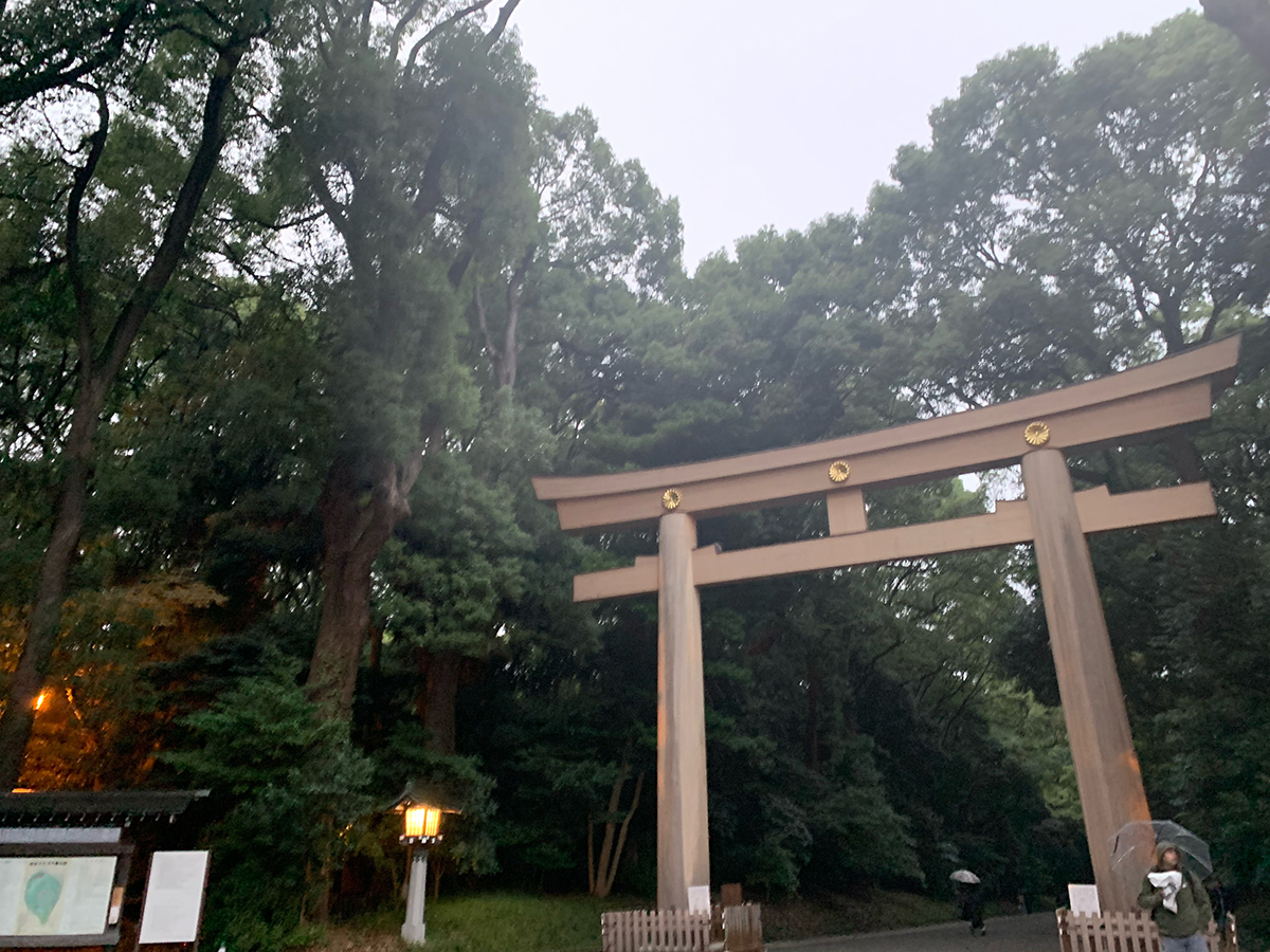 年内最後のキャンペーンです♪