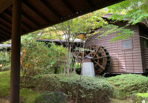 11月12月のご予約はお早めに！